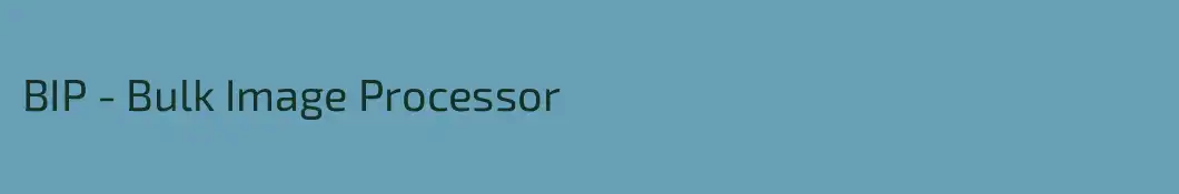 BIP - Bulk Image Processor